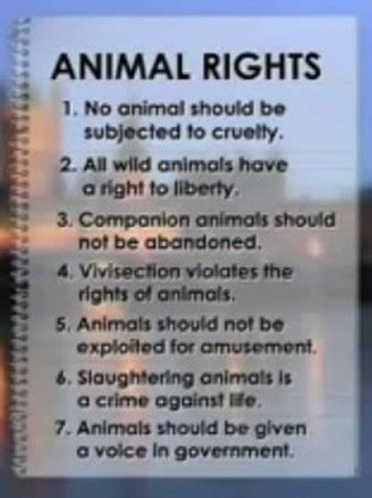 Quotes About Animal Rights. QuotesGram