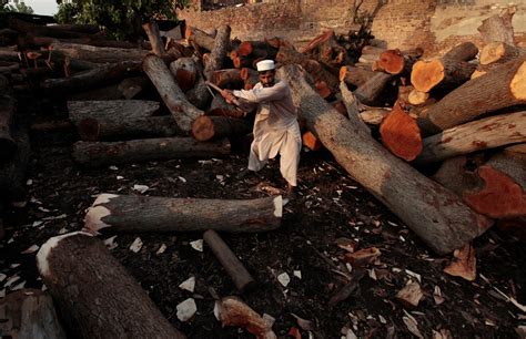 Pakistans Plan For Tackling Deforestation A Billion Trees The