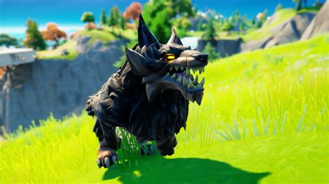 How Do You Tame Wolves In Fortnite Tame A Wolf Fortnite Challenge In