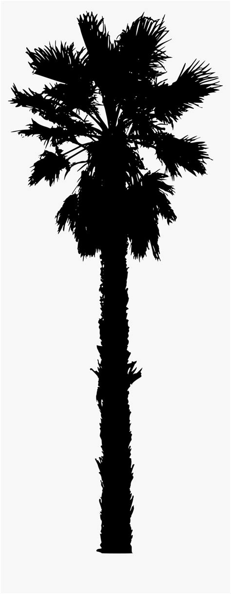 15 Vector California Palm Tree For Free Download On California Palm