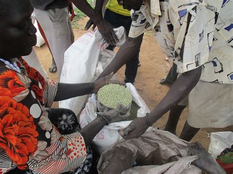Un Warns Of Looming Widespread Food Crisis In South Sudan Sudans Post