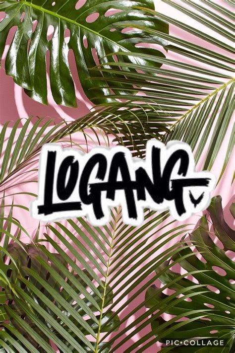 Logang Wallpaper Loganpaul Wallpaper Logang Paul Jack Paul Logang