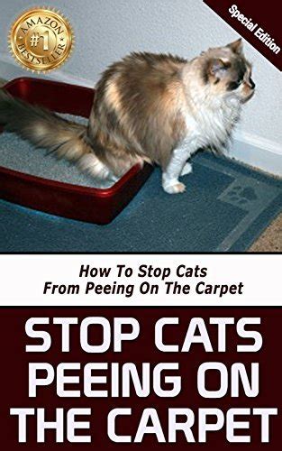 Stop Cats Peeing On The Carpet How To Stop Cats From Peeing On The