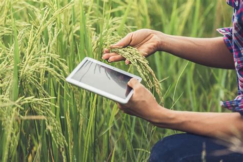 C Mo Las Nuevas Tecnolog As Pueden Mejorar La Agricultura Org Nica Economipedia