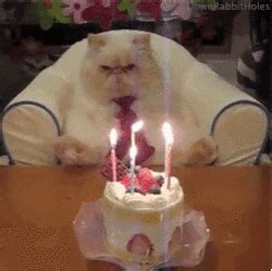 The best gifs are on giphy. Birthday Candle GIFs - Find & Share on GIPHY