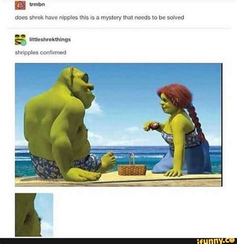 Pin By Tearch Dolmade On Fren Shrek Shrek Memes Stupid Memes