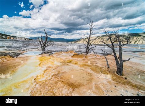 The Mammoth Hot Spring In Yellowstone National Park Wyoming Stock