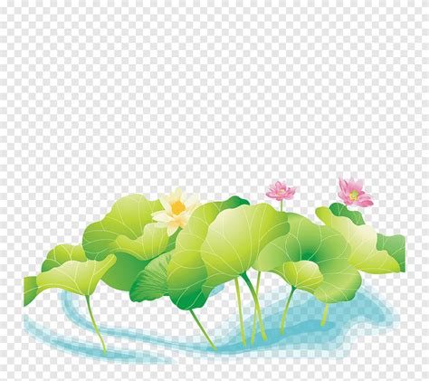 Bunga lotus berbeda dengan bunga teratai, perbedaan lebih jelasnya anda dapat lihat sebagai berikut. Mewarnai Kolam Bunga Teratai : Bunga teratai dan bunga ...