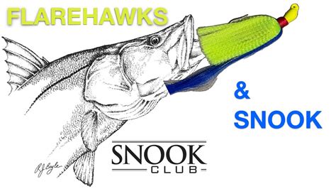 Using Flarehawks Jigs For Snook Youtube