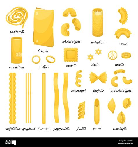 The Vector Set Of Different Types Of Italian Pasta Stock Vector Image