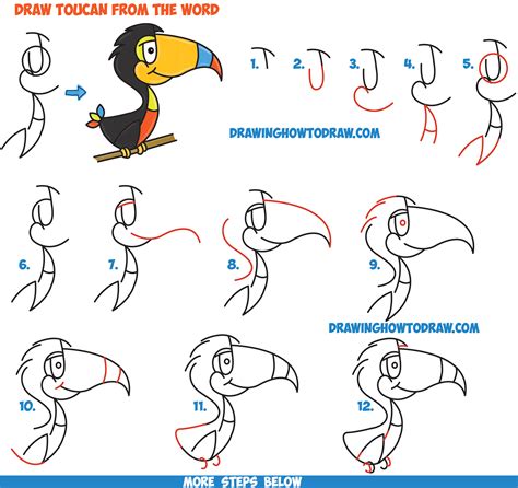 How To Draw Cartoon Toucans From The Word Easy Step By