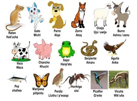 Los Animales En Quechua Y Sus Nombres En Idioma Quechua Nombres De