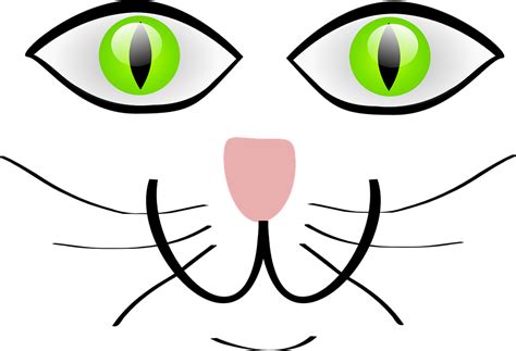 Free Clipart Of Cat Eyes 20 Free Cliparts Download Images On