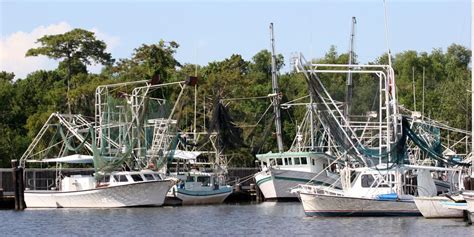 Catfish Fishing In Louisiana La Fishingbooker