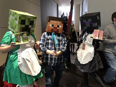 Our Minecraft Cosplays Rgaming