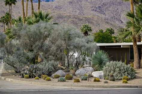 Annual Garden Tour The Desert Horticultural Society Of Coachella Valley