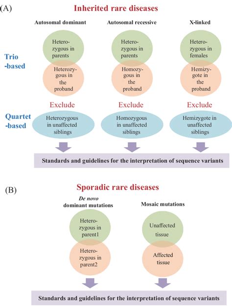 Strategies For Research On Genetic Mutations In Rare Diseases A