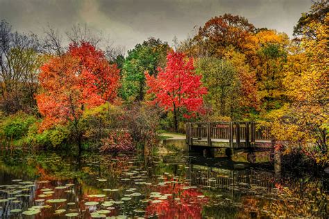Park River Bridge Seasons Autumn Trees Nature