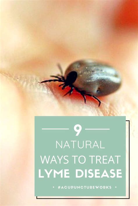 9 Natural Treatments For Lyme Disease According To Experts Lyme