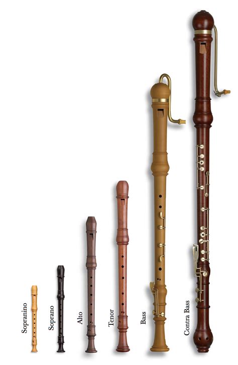 Recorder Lessons in Duvall and Monroe - The Magic Music Company