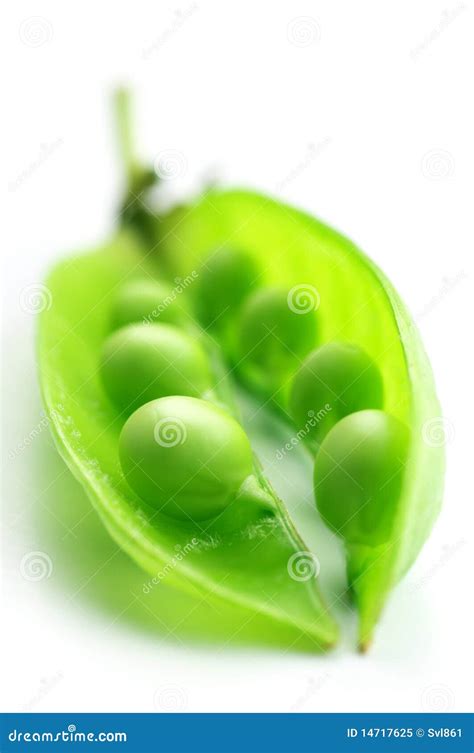 Pea Pod Stock Image Image Of Vertical Food Vegan Vegetarian 14717625