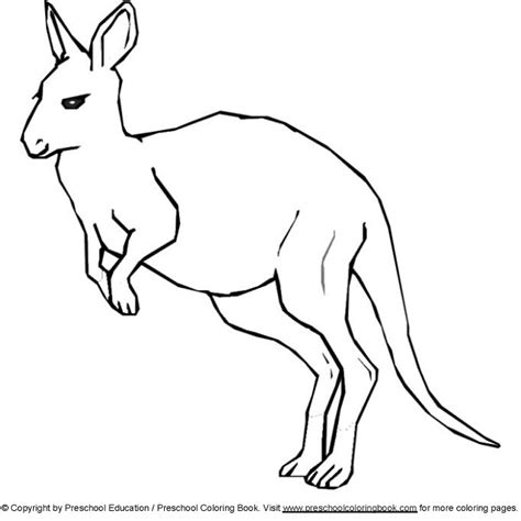 Kangaroo coloring page is one of those animal coloring pages. www.preschoolcoloringbook.com / Animal coloring page