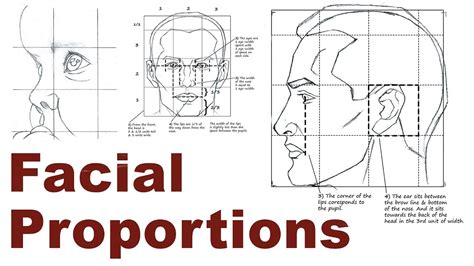 Portrait Drawing Basics 2 3 Facial Head Proportions YouTube