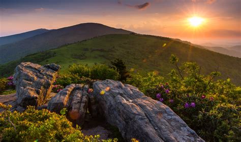 Roan Mountain Appalachian Mountains Tennessee Wallpaper Nature And