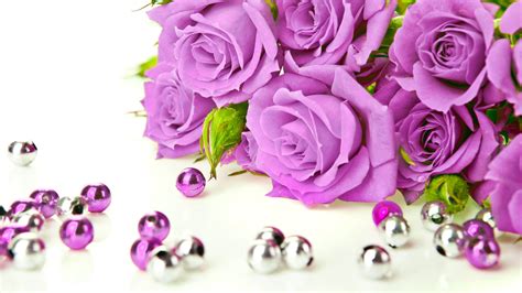 49 Beautiful Purple Roses Wallpapers Wallpapersafari
