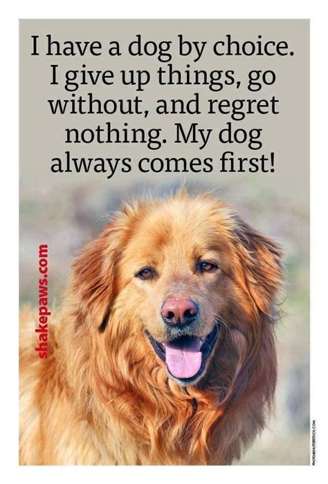 I Have A Dog By Choice Dog Quote Dogs Dog Quotes Love Dog Quotes