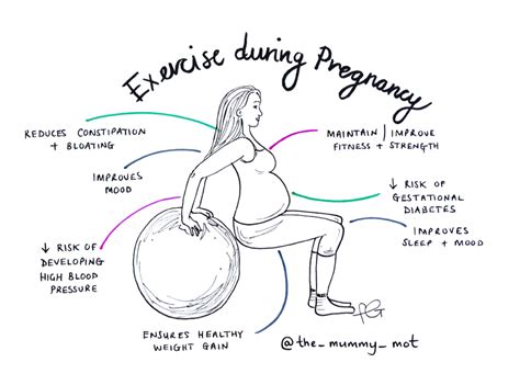 Exercise During Pregnancy The Mummy MOT