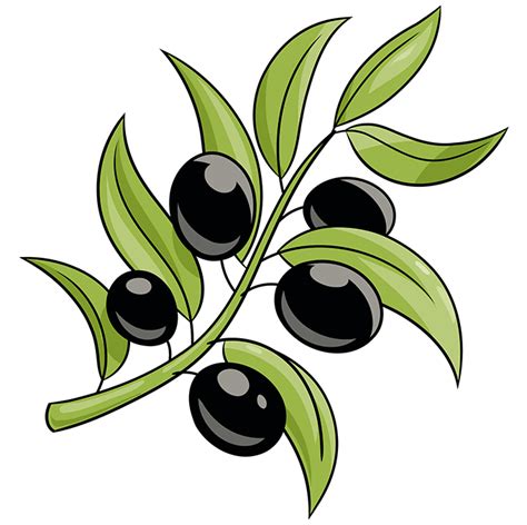 How To Draw An Olive Branch Really Easy Drawing Tutorial