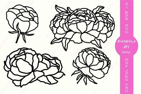Peony flowers svg, Floral svg, Peonies silhouette dxf