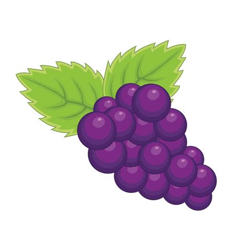 uvas roxas touceira fruta ilustração vetorial dos desenhos animados
