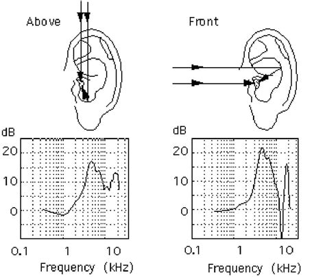 How Do Human Hear Sound The Hearing Mechanism Explained Hearing