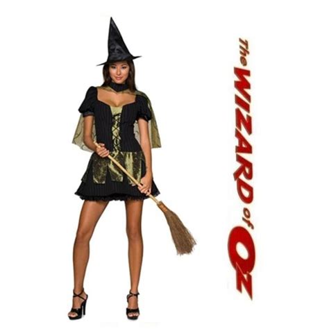 secret wishes other the wicked witch of the west womens sexy wizard of oz costume nwtnew