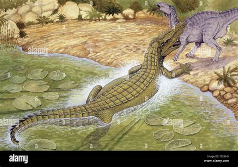 Palaeozoology Cretaceous Period Dinosaurs Deinosuchus Art Work
