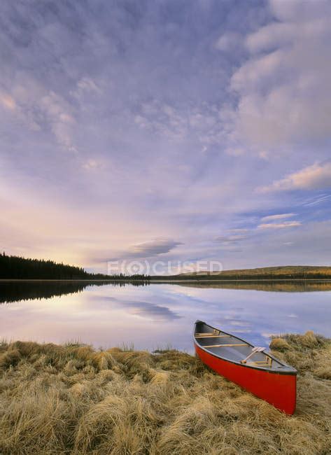 Canoe Moored On Grassy Shore Of Boggy Lake Alberta Canada — Coast