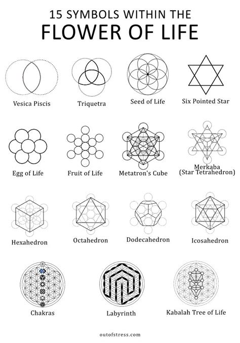 The Symbols And Their Meanings For Each Type Of Flower Of Life Which