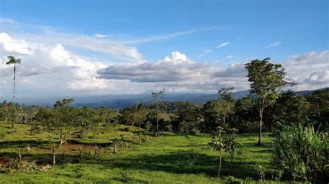 Costa (plural costas or costae). Monteverde Zipline : Costa Rica | Visions of Travel