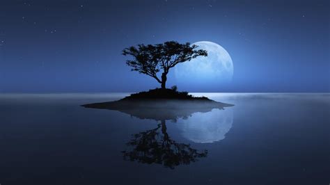 Free Download Full Moon Night Nature Hd Wallpaper 1920x1080 For Your