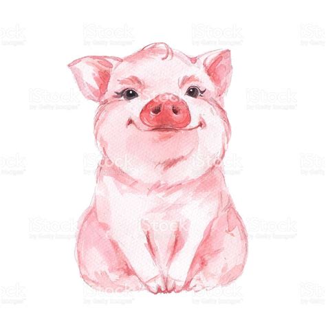 Related Image Pig Art Animal Paintings Pig Painting