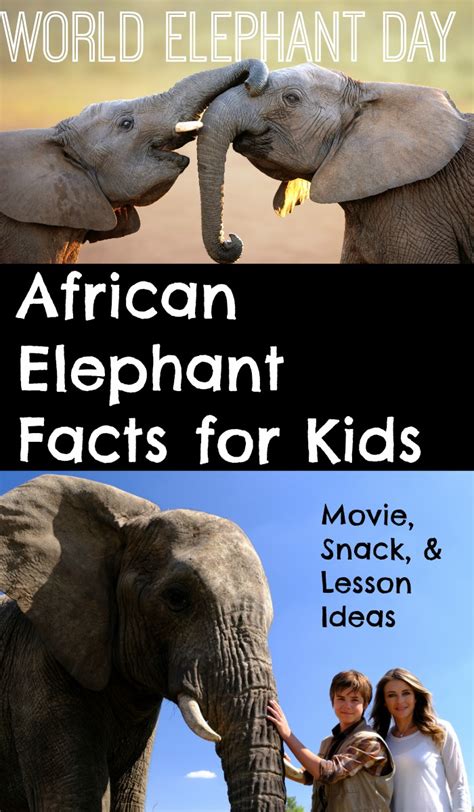 African Elephant Facts For Kids Preparing For World Elephant Day