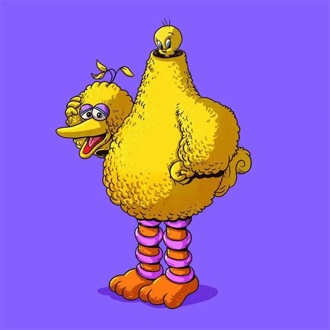 Top 999 Big Bird Wallpapers Full Hd 4k Free To Use