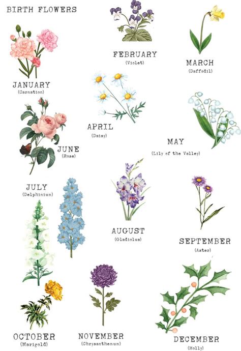 16 Birth Months Ideas Birth Flower Tattoos Birth Month Birth Flowers