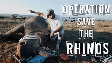 Saving African Rhinos From Poachers Youtube