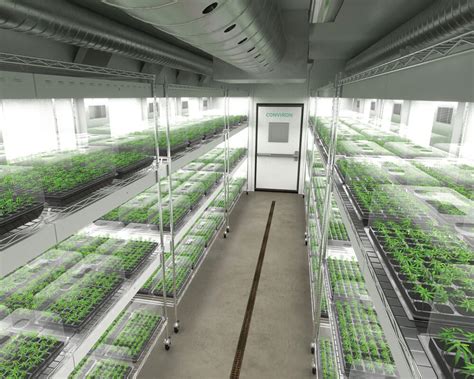 Conviron And Argus Cannabis Growing Rooms And Control Systems