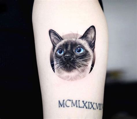 Siamese Cat Tattoo By Tattooist Yeono Photo 30970