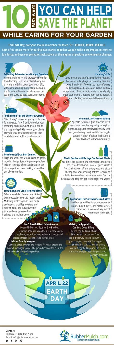 10 Ways To Help Save The Planet And Make Your Garden Green Infographic