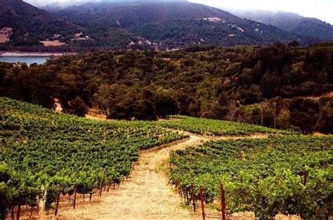 California Wines Ca On Twitter Santa Cruz Mountains California Wine